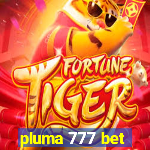 pluma 777 bet